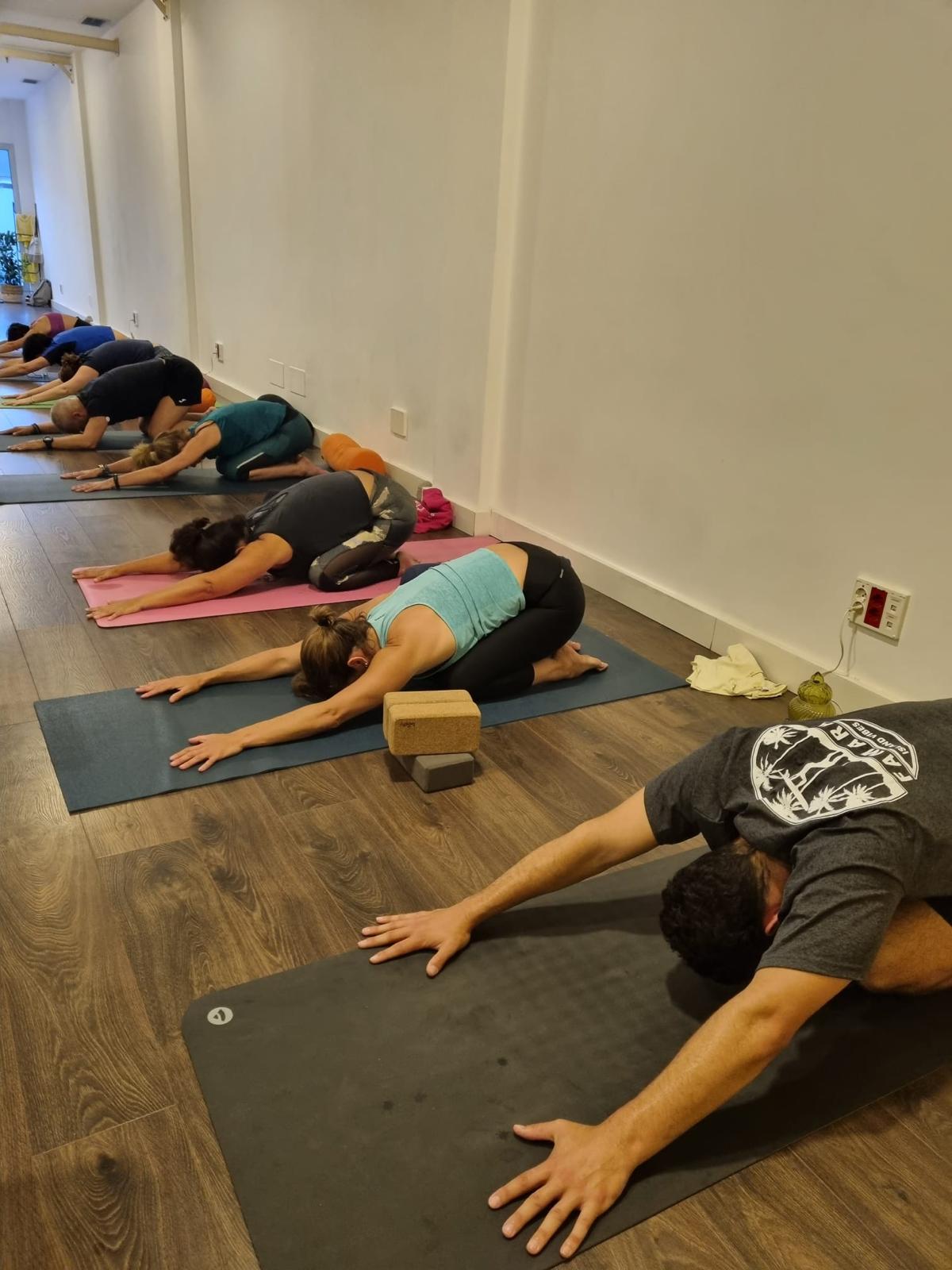 Hatha Vinyasa